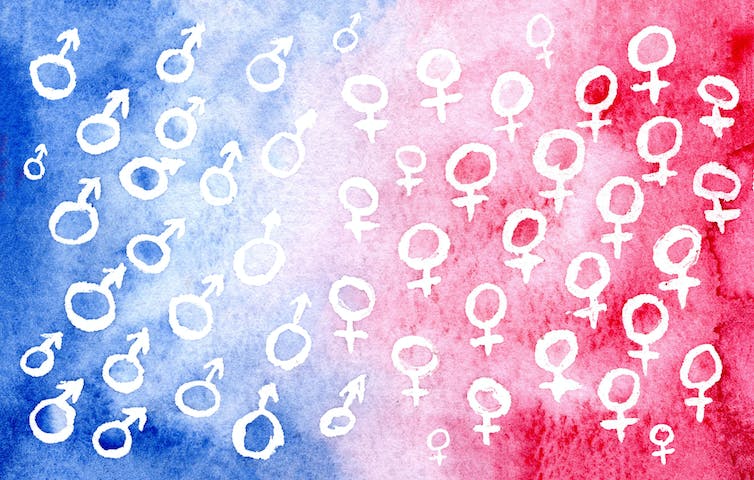 Biological sex is far from binary − this college course examines the science of sex diversity in people, fungi and across the animal kingdom